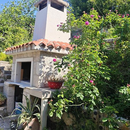 Apartmán Mala Cele Podgora Pokoj fotografie