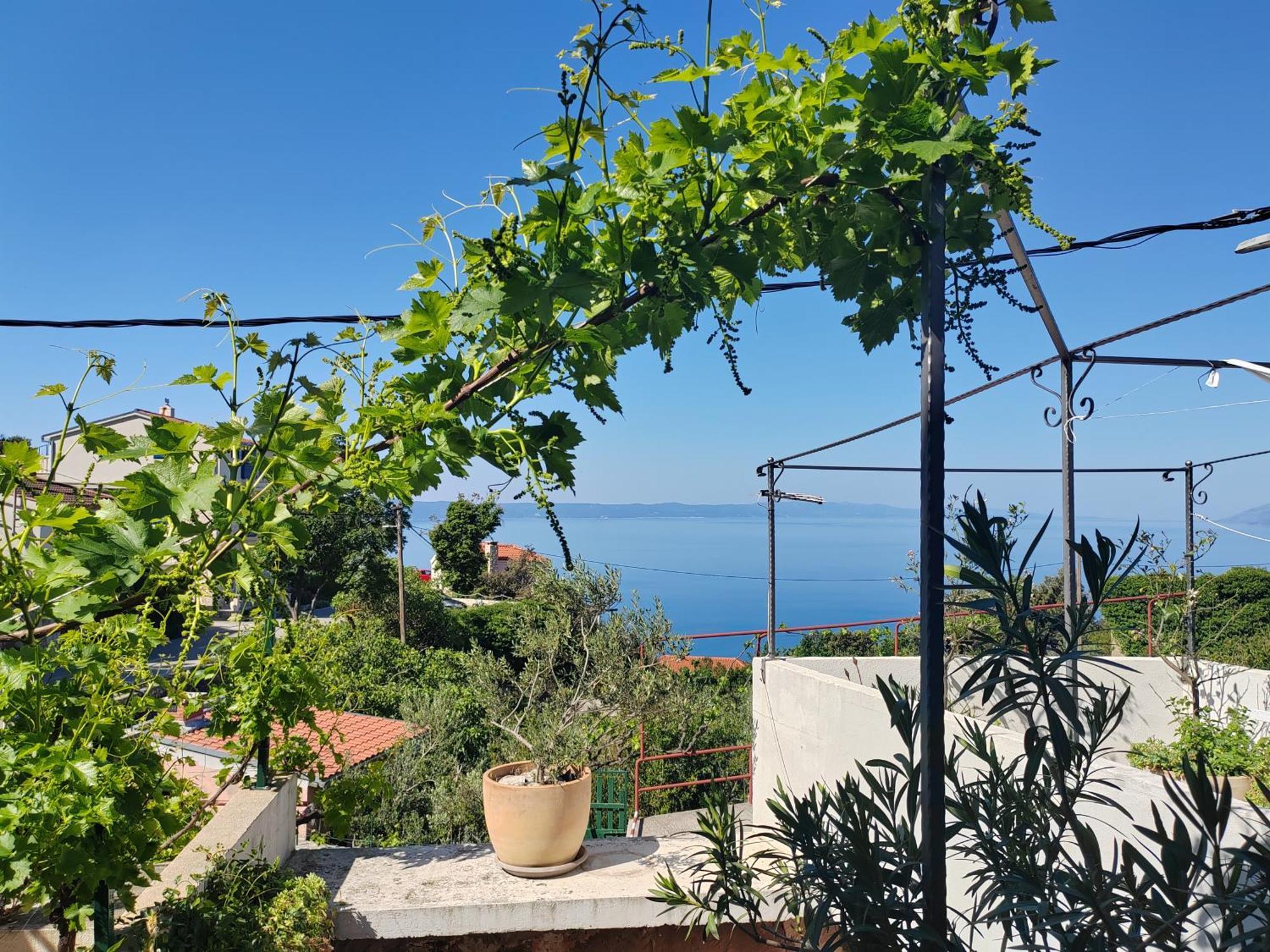 Apartmán Mala Cele Podgora Pokoj fotografie